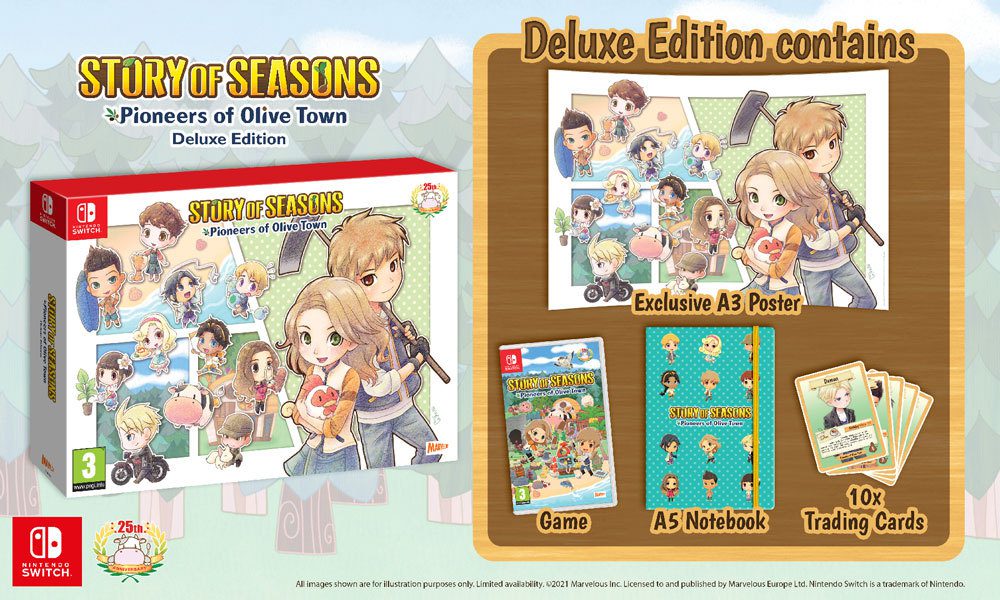 story of seasons a wonderful life clothes